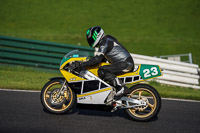 Evening Low_Mid Group Yellow Bikes